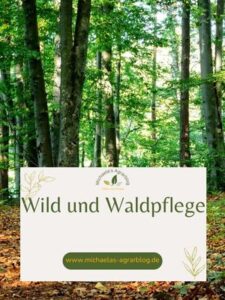 Wild und Waldpflege