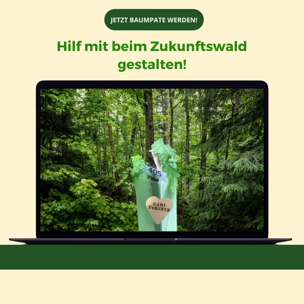Baumpatenschaft Deutschland