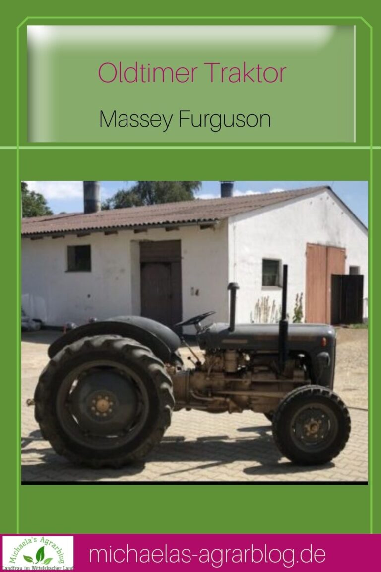 Oldtimer Traktor MF