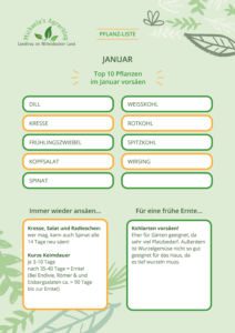 Anbauplan Gemüse PDF Januar