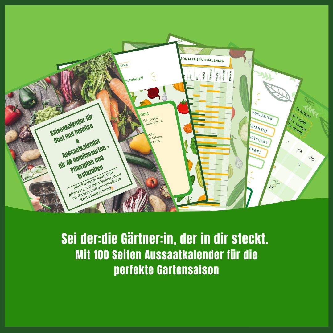 Anbauplan Gemüse PDF