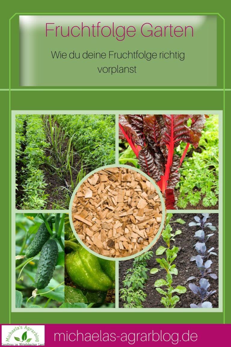 Fruchtfolge Gemüsegartentabelle PDF