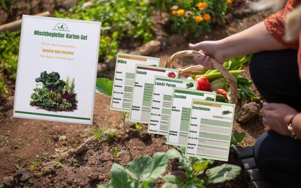 Gemüse Anbauplan als Kartenset